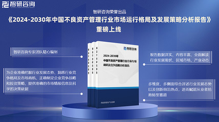 2024年中國不良資產(chǎn)管理產(chǎn)業(yè)現(xiàn)狀與趨勢分析